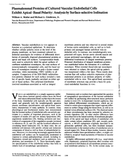Plasmalemmal Proteins of Cultured Vascular Endothelial Cells