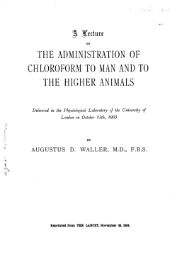 PDF - Wood Library