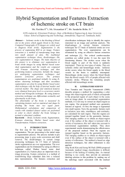 Hybrid Segmentation and Features Extraction of Ischemic