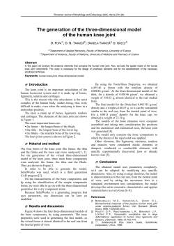The generation of the three-dimensional model