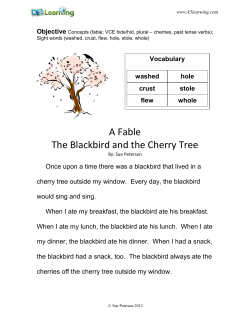 The Blackbird and the Cherry Tree
