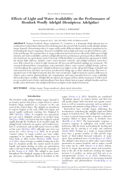 Effects of Light and Water Availability on the Performance of