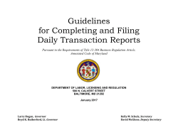 Guidelines for Completing and Filing Daily Transaction Reports