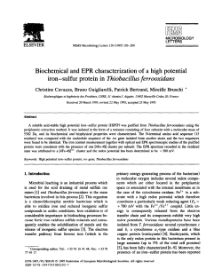Biochemical and EPR characterization of a high potential iron