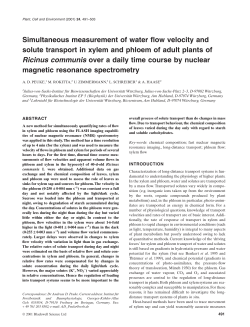 Simultaneous measurement of water flow velocity and solute