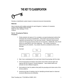 Gymnosperm Taxonomic Key