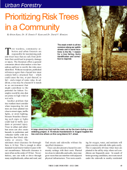 Prioritizing Risk Trees in a Community