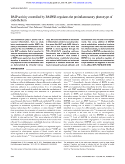BMP activity controlled by BMPER regulates the proinflammatory