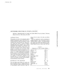 DICTYOSOME STRUCTURE IN EUGLENA GRACILIS on January