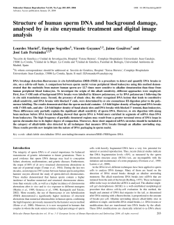 Structure of human sperm DNA and background damage, analysed
