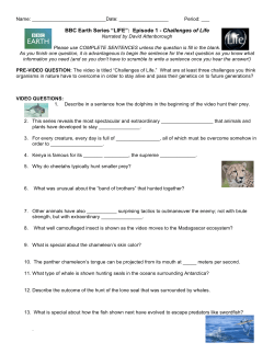 Episode 1 - Challenges of Life