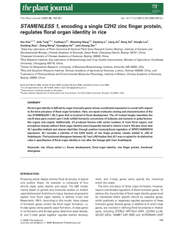 STAMENLESS 1, encoding a single C2H2 zinc finger protein