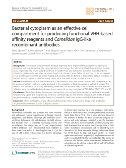 Bacterial cytoplasm as an effective cell compartment for producing