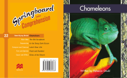 Chameleons - Stanford House HK