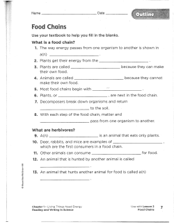 Food Chains