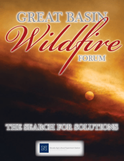 Great Basin Wildfire Forum - Nevada Department of