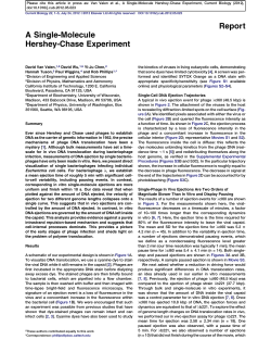 A Single-Molecule Hershey-Chase Experiment
