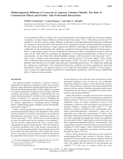 Multicomponent Diffusion of Lysozyme in