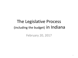 The Legislative Process (including budget)