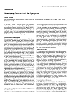 Developing Concepts of the Synapses