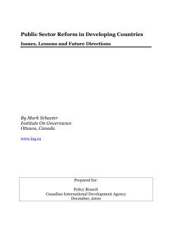 Public Sector Reform in Developing Countries