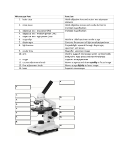 Microscope Part Function 1. body tube Holds objective lens and