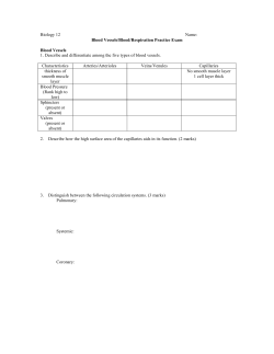 Biology 12 Name: Blood Vessels/Blood/Respiration Practice Exam