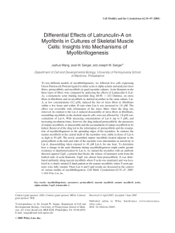 Differential effects of latrunculin-A on myofibrils in cultures of skeletal