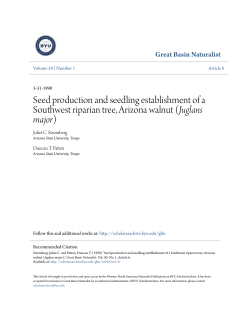 Seed production and seedling establishment of a Southwest riparian