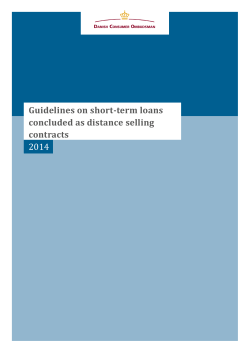 Guidelines on short-term loans concluded as distance selling