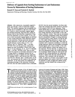 Delivery of Ligands from Sorting Endosomes to Late Endosomes