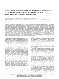 Functional Characterization and Expression