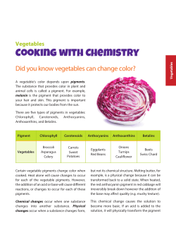 Cooking with Chemistry