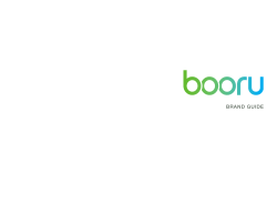BrAND GuIDE - Direct Commerce