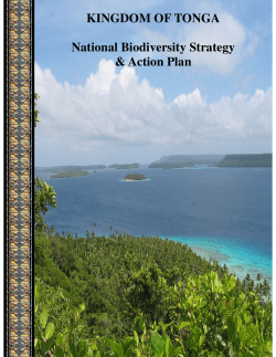 CBD Strategy and Action Plan