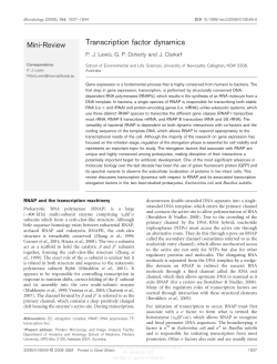 Transcription factor dynamics