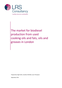 The market for biodiesel production