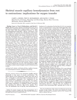 Skeletal muscle capillary hemodynamics from rest to contractions