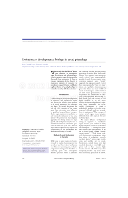 Evolutionary developmental biology in cycad phenology