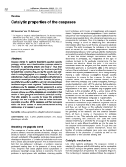 Catalytic properties of the caspases