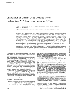 Dissociation of Clathrin Coats Coupled to the Hydrolysis of ATP