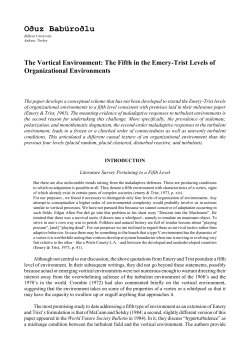 The Fifth in the Emery-Trist Levels of Organizational Environments