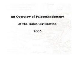 Indus Archaeobotany
