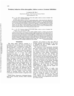 Predatory behavior of the zebra spider, Salticus scenicus (Araneae