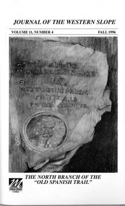 cogjm.JWS_v11_n4_1996