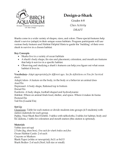 Design-a-Shark