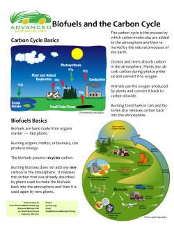 Carbon Cycle Puzzle Page