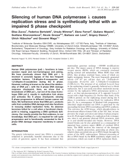 Silencing of human DNA polymerase &lambda; causes replication stress and