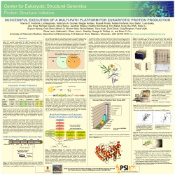 successful execution of a multi-path platform for eukaryotic protein