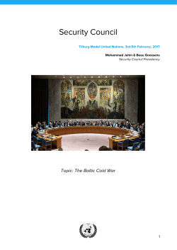 Security Council - Tilburg Model United Nations